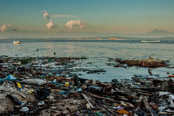 Tierversicherung-One-Earth-One-Ocean Tierversicherung Projekterfolg One-Earth-One-Ocean