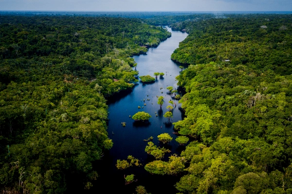 Tierversicherung-mit-8-million-trees Tierversicherung x 8 million trees