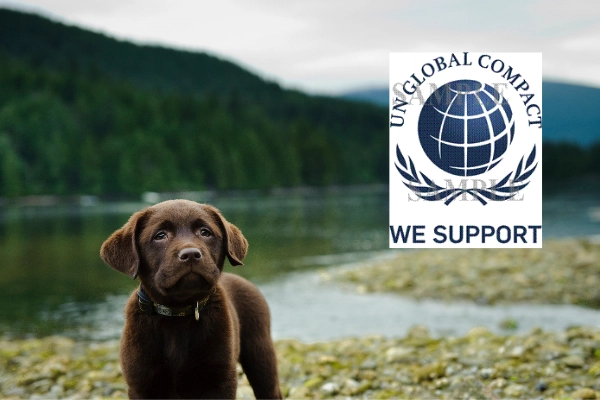 Tierversicherung-un-global-compact Tierversicherung teil von UN Global Compact