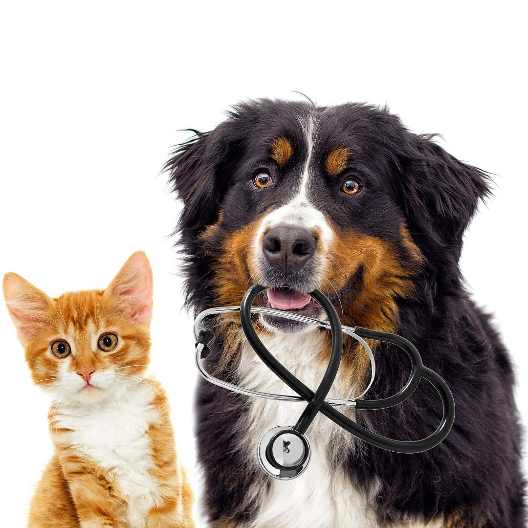 Tierversicherung-diagnose_Deutschland Panda Hundeversicherung übernimmt auch spezielle Untersuchungen wie Röntgen, Endoskopie, Biopsie, Labor etc.