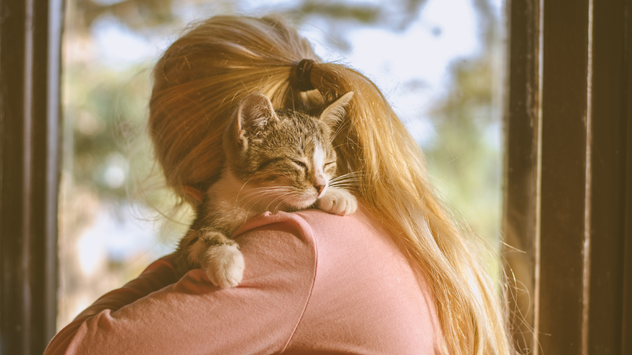 digitale_Versicherung Eine Tierbesitzerin kuschelt mit ihrer versicherten Katze.