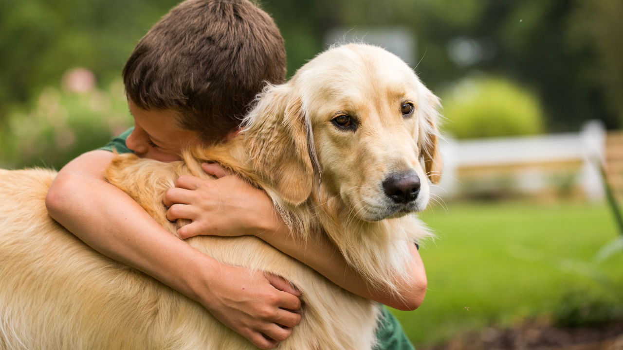 Kuscheln_mit_Hund Ein Junge umarmt innig seinen Golden Retriever.