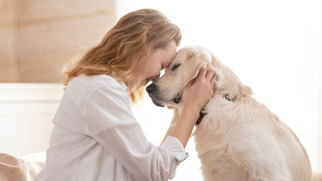4_OP-Schutz_für_Hunde Ein Hund kuschelt mit seinem Frauchen.