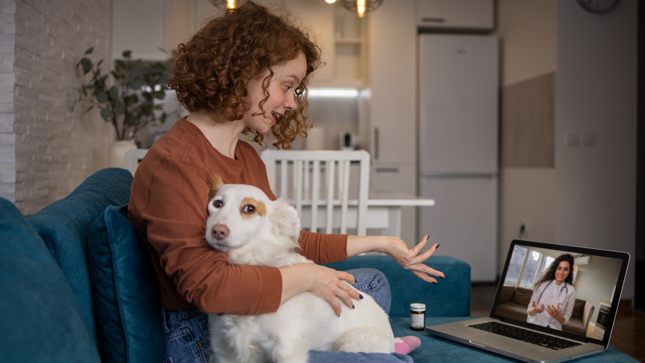 5_Telemedizin_Hund_Katze Eine Kundin lässt sich von ihrem Tierart per Videocall beraten.