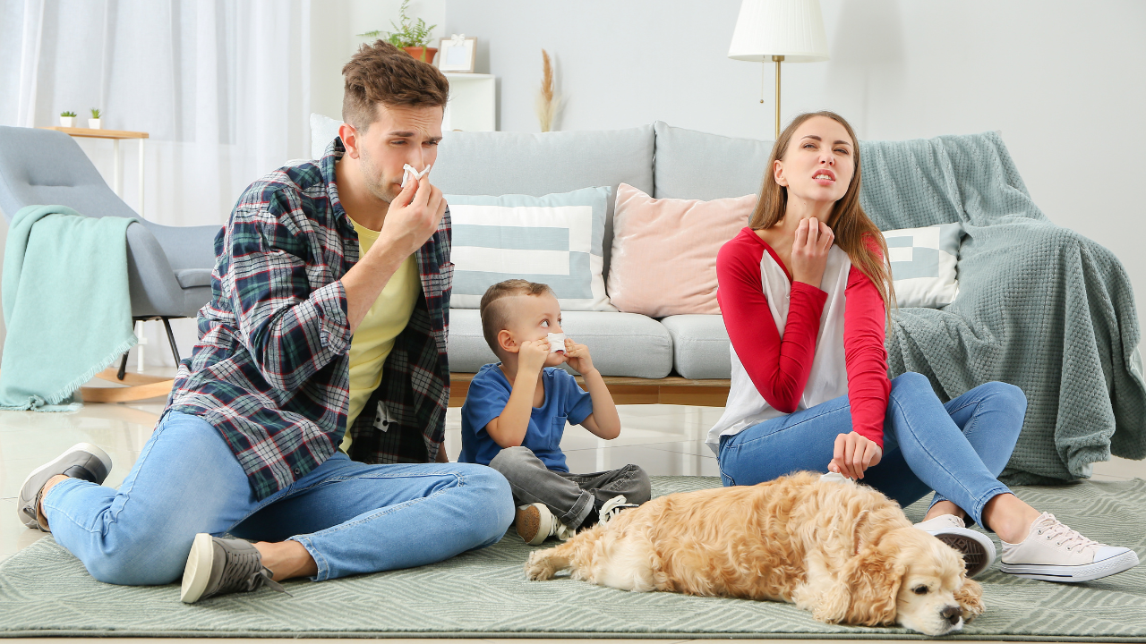 3_Allergie_gegen_Hunde Ein Vater, eine Mutter und deren Sohn sind allergisch auf ihren Hund.