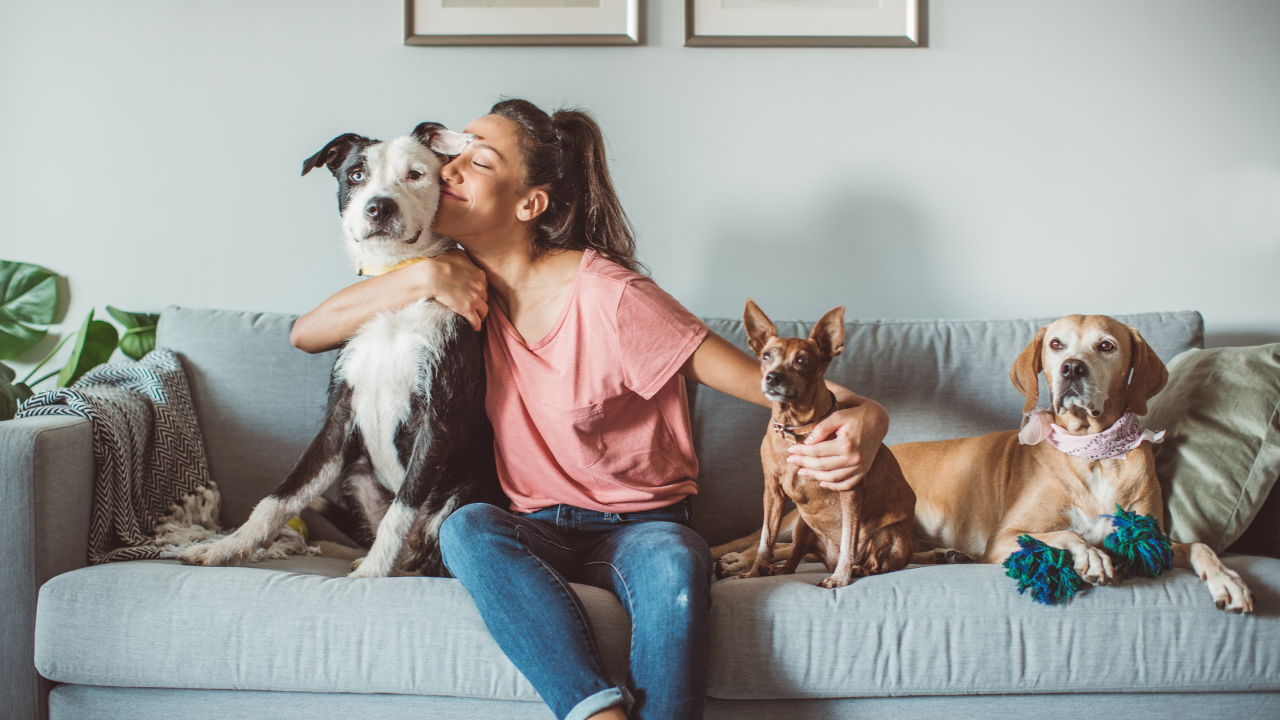 3_Beratung_Tierversicherung Eine Frau sitzt mit ihren Hunden am Sofa.