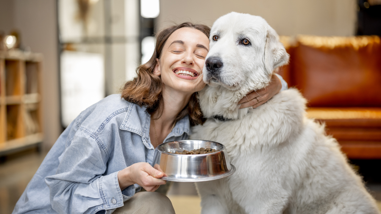 5_Hund_Kosten Eine Frau füttert ihren Hund zuhause.