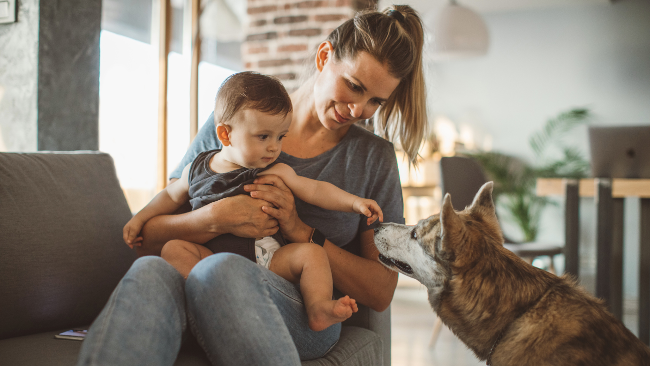 Eine Mutter spielt mit dem Hund und dem Baby.