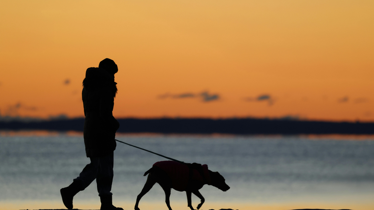 4_Leishmaniose_Hunde Eine Frau macht Urlaub mit ihrem Hund in Griechenland.