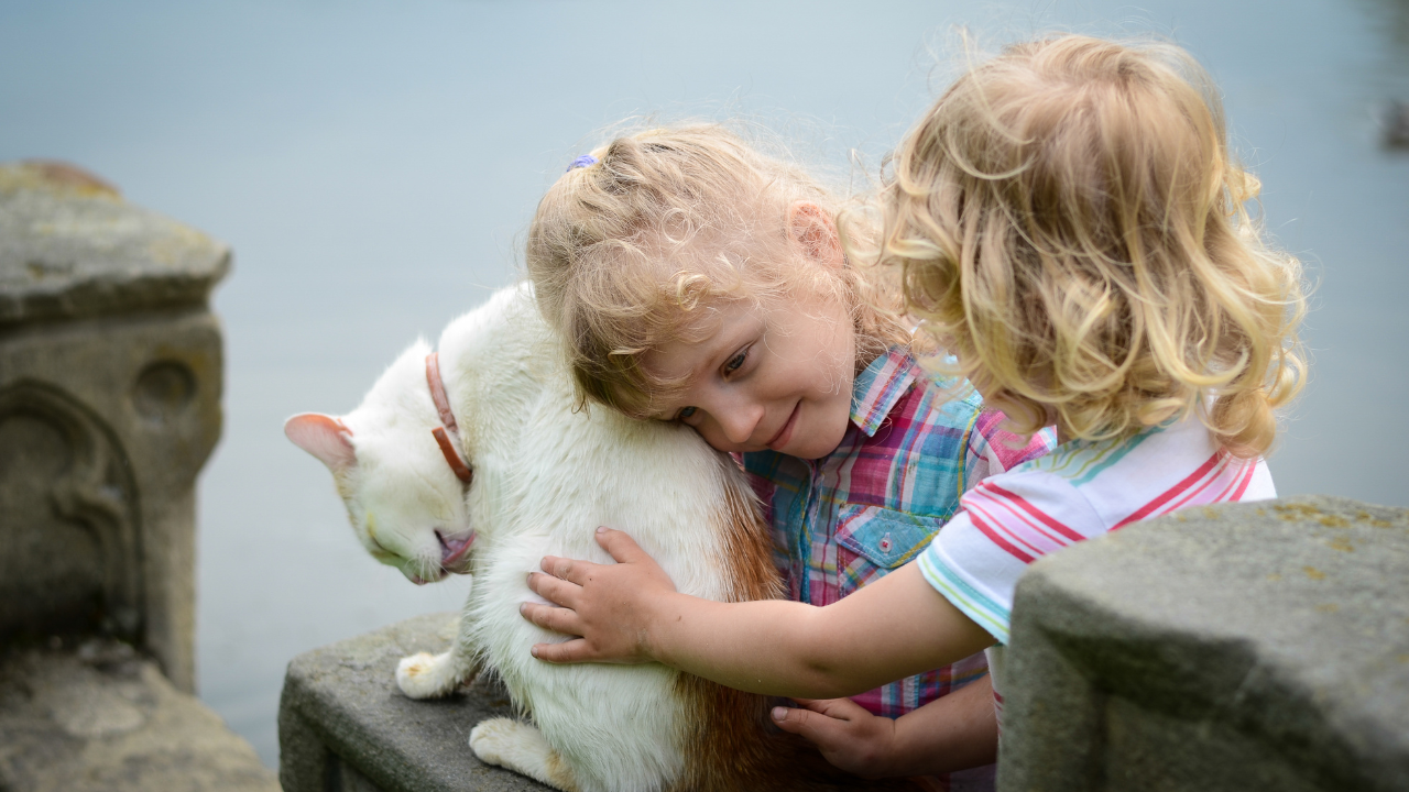 1_Katzen_Kinder Zwei Kinder kuscheln mit ihrer Katze.