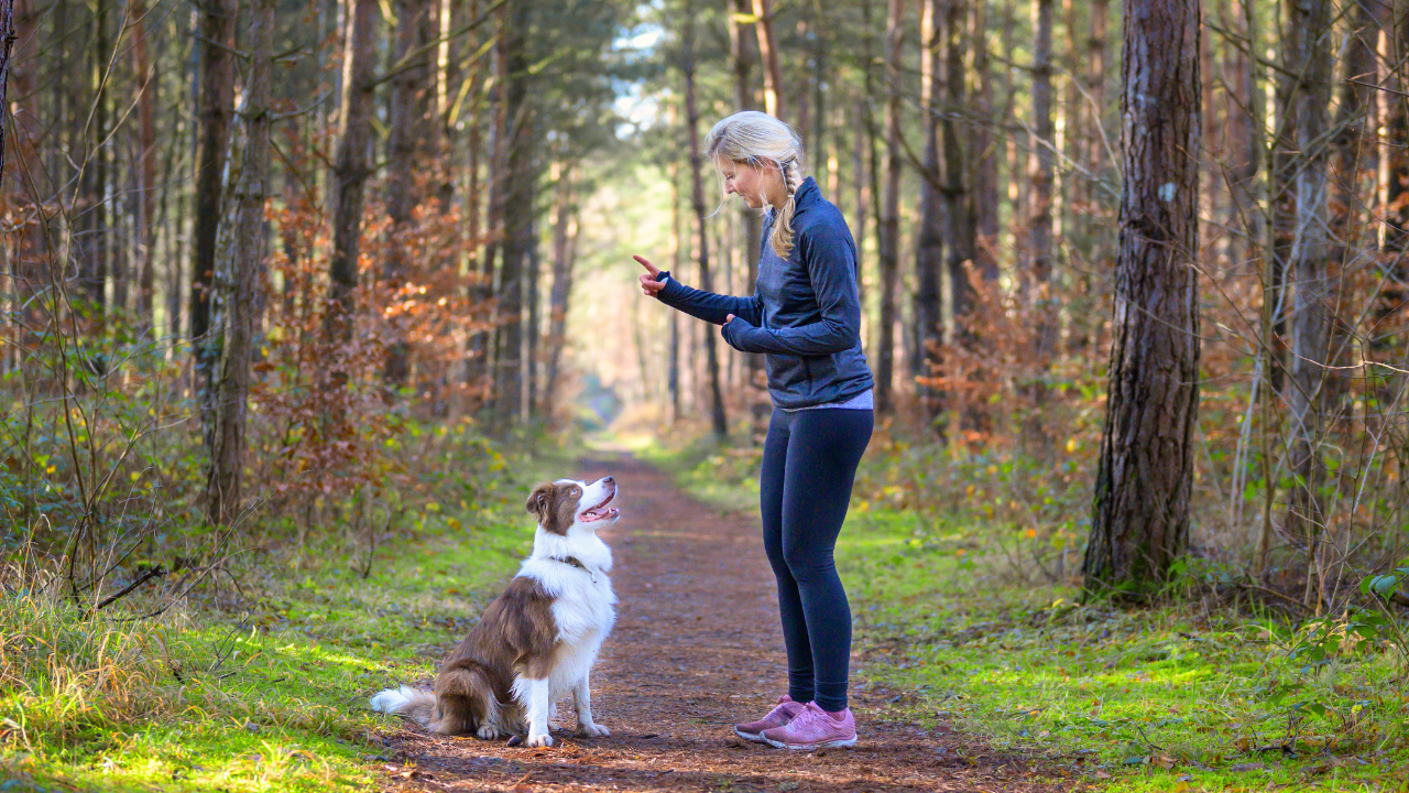 Eine Dame geht mit Ihrem Hund im Wald wandern.
