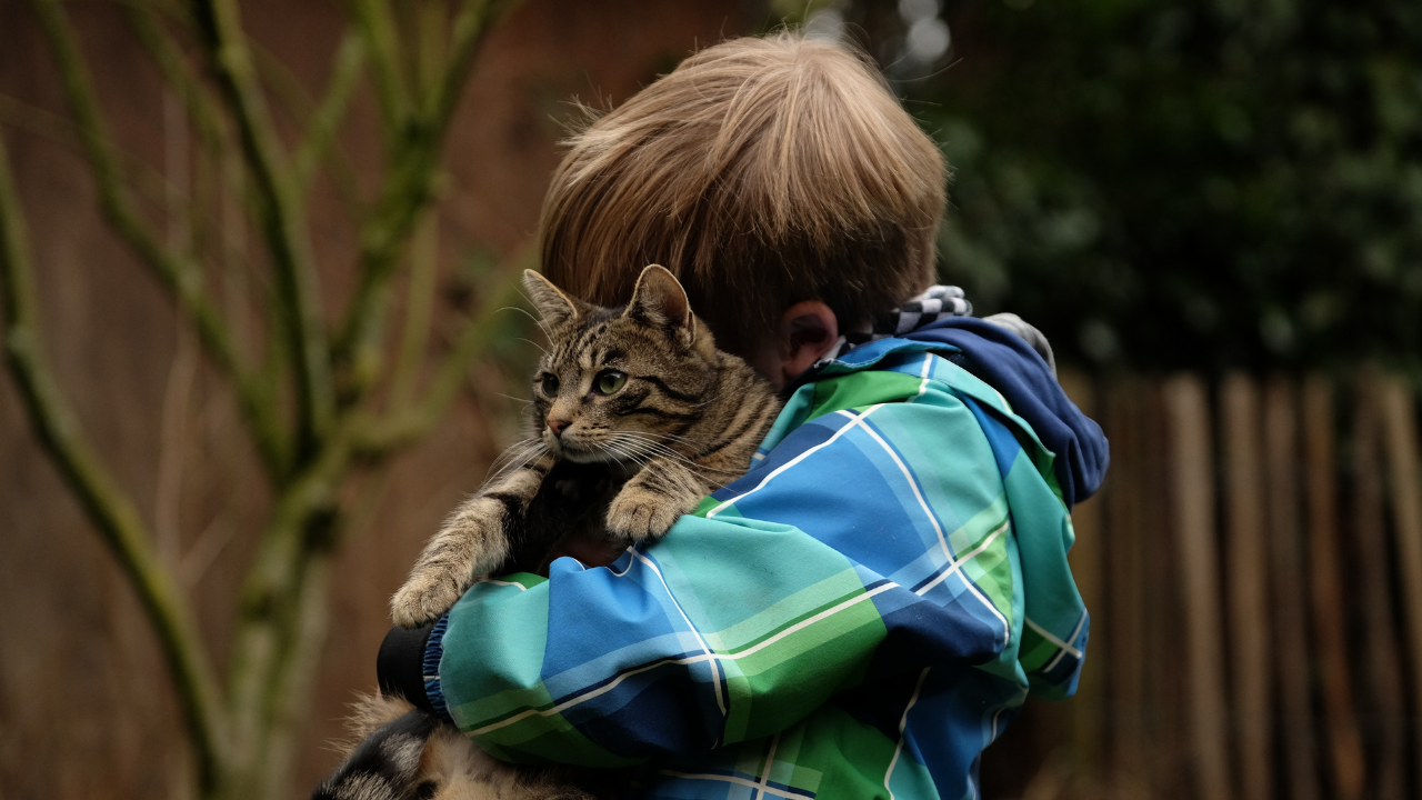 5_Kinder_spielen_mit_Katze Ein Junge kuschelt mit seiner Katze im Garten.