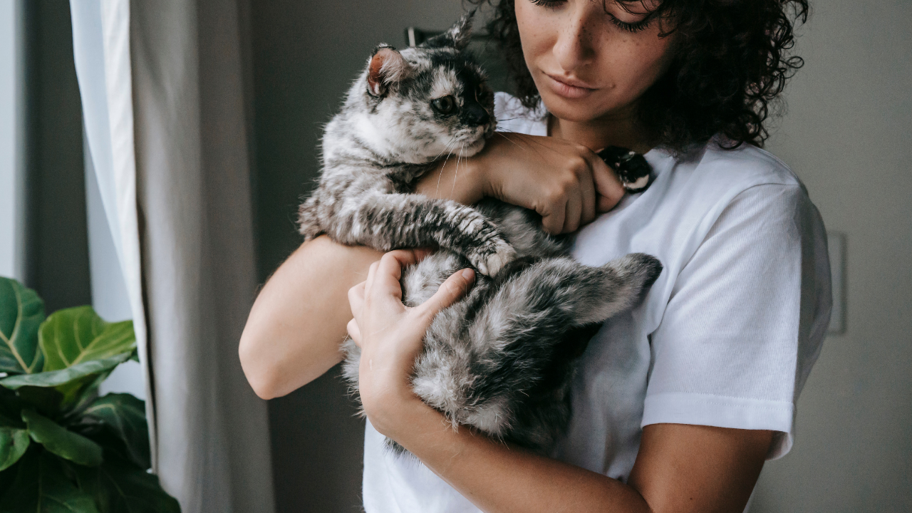 Eine Frau hält ihre Katze fest.