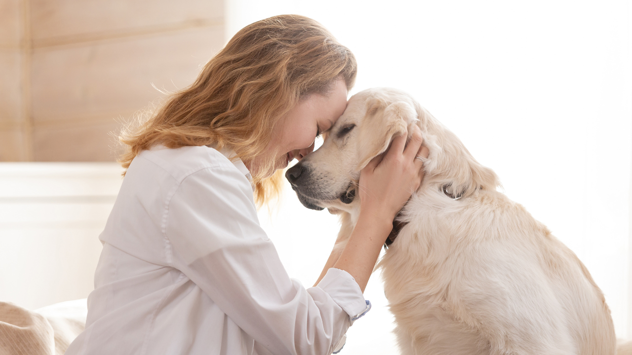 1_Altersbeschwerden_Hund