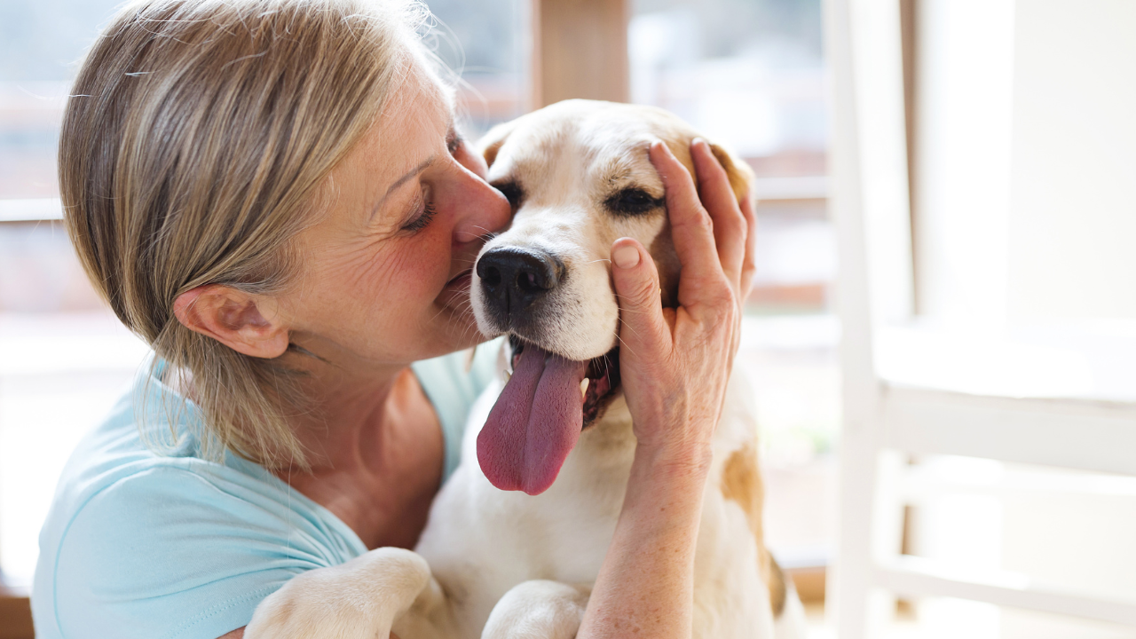 Ein Seniorhund kuschelt mit seiner Besitzerin.