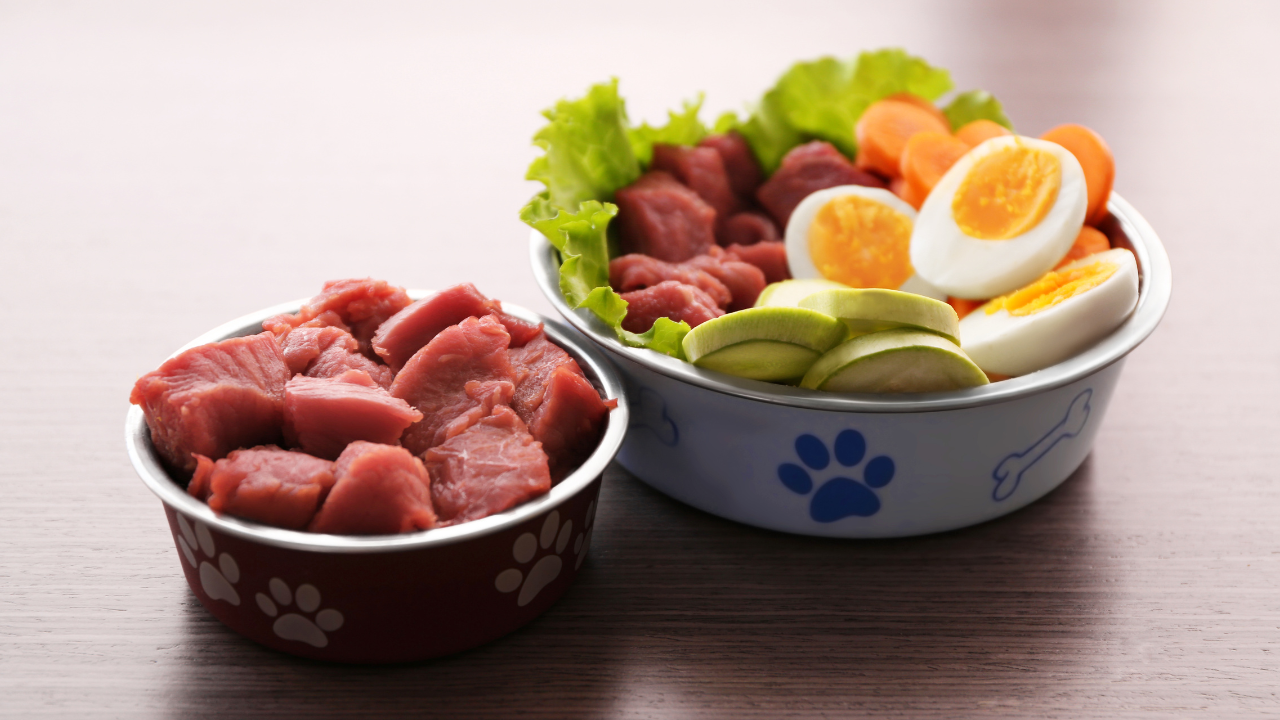 Ein Hund braucht viele Vitamine.