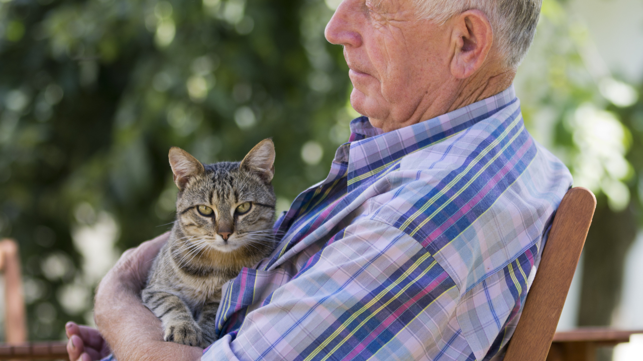 5_Altersbeschwerden_Katze Ein älterer Herr genießt die Sonnenstrahlen im Garten mit seiner Katze auf dem Schoß.