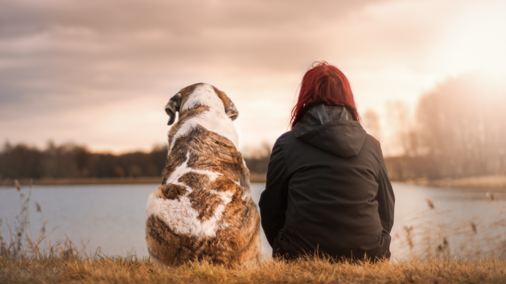Ein Hund genießt die Zeit in der Natur mit seinem Besitzer.
