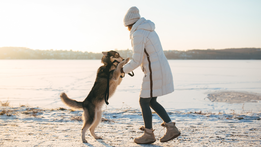 Ein Hund verbringt den Tag mit seiner Besitzerin im Schnee.