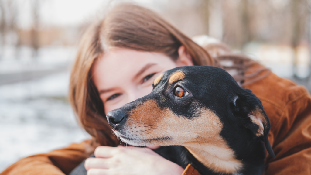 Ein Hund genießt die Winterzeit mit seiner Besitzerin.