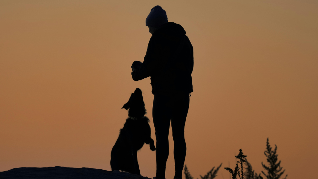 Ein Hund spielt mit seinem Besitzer beim Sonnenuntergang.