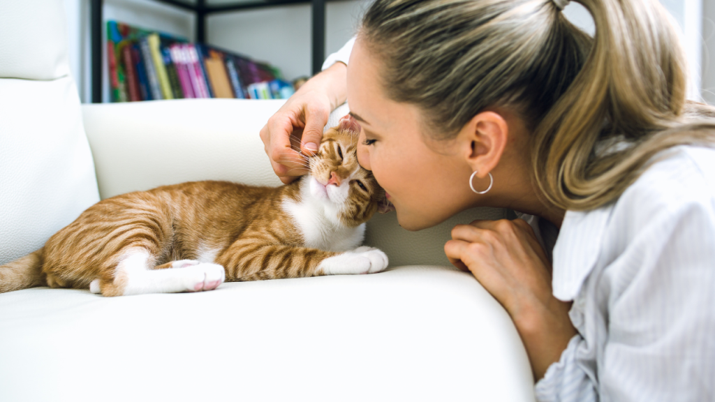 Eine Frau streichelt ihre Katze auf dem Sofa.