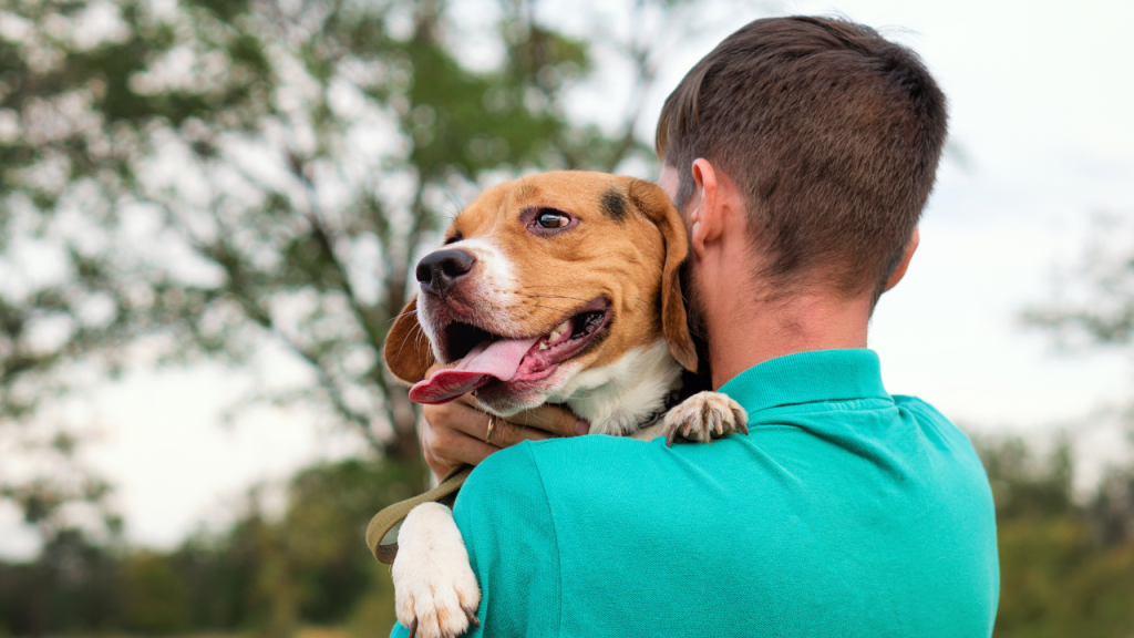 3_Frühling mit Hund Ein Mann trägt einen Hund auf der Schulter im Freien.