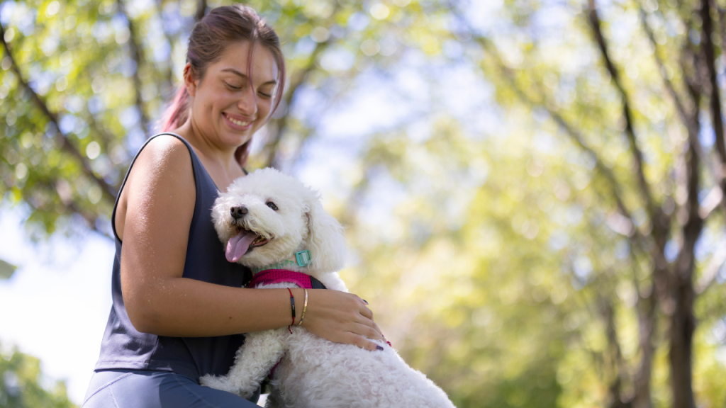 4_Giftige Frühlingspflanzen beim Spaziergang im Park Lächelnde Frau hält einen kleinen weißen Hund im Arm, während sie in einem sonnigen Park steht.