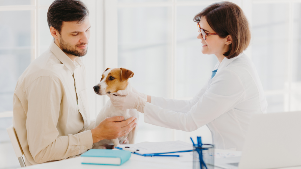 Tierarzt untersucht kleinen Hund, während Besitzer ihn auf dem Arm hält.