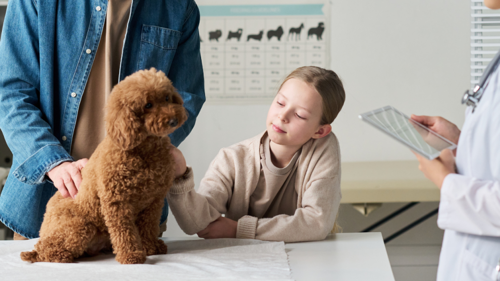 Kind streichelt kleinen Hund beim Tierarzt, während eine Person Notizen macht.