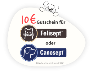 gutschein-box