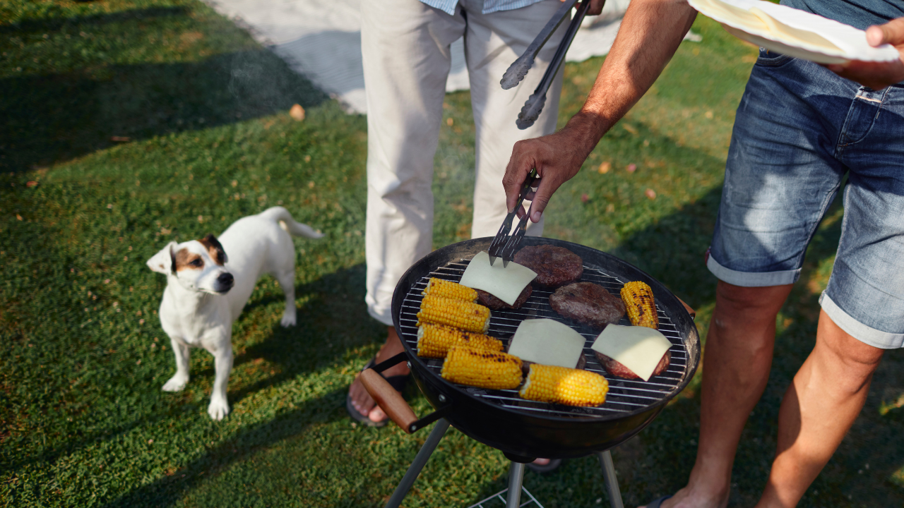 Hund steht neben einem Grill und schaut interessiert auf das Grillgut – Symbolbild für Gefahren durch Grillreste und ungeeignete Lebensmittel.